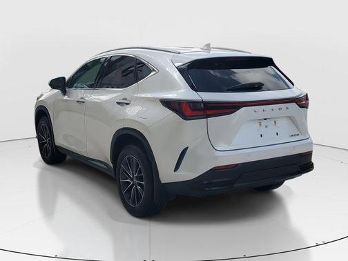2025 Lexus NX 250 Base