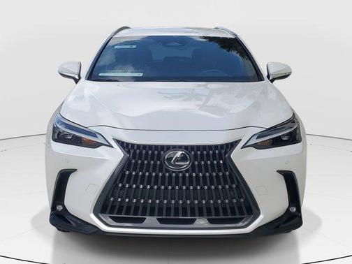 2025 Lexus NX 250 Base