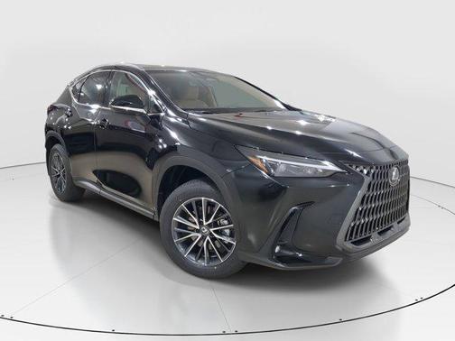 2025 Lexus NX 250 Premium