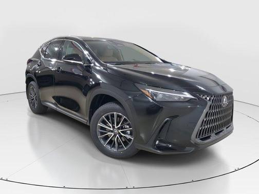 2025 Lexus NX 250 Premium