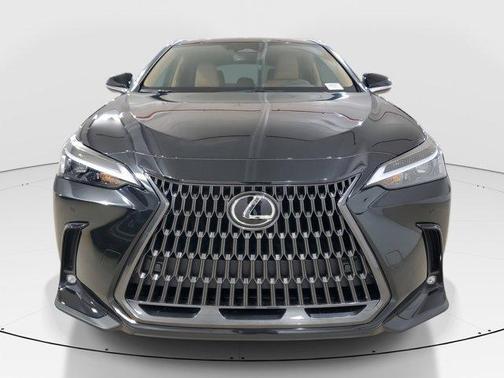 2025 Lexus NX 250 Premium