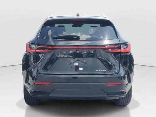2024 Lexus NX 250 Premium