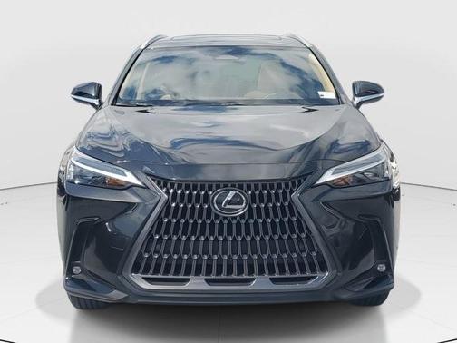 2024 Lexus NX 250 Premium