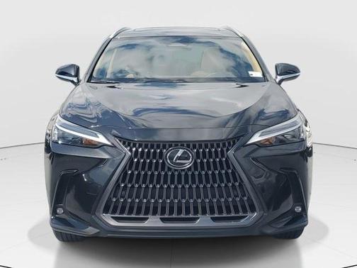 2024 Lexus NX 250 Premium