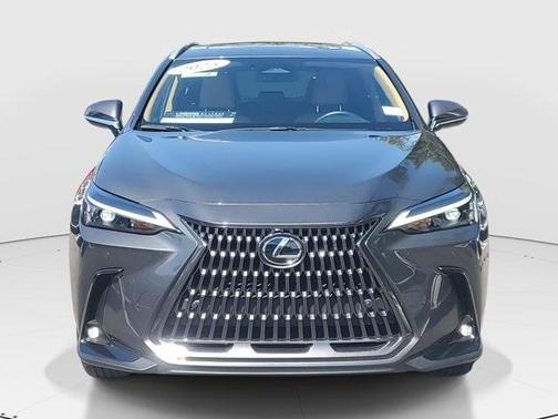 2025 Lexus NX 250 Base
