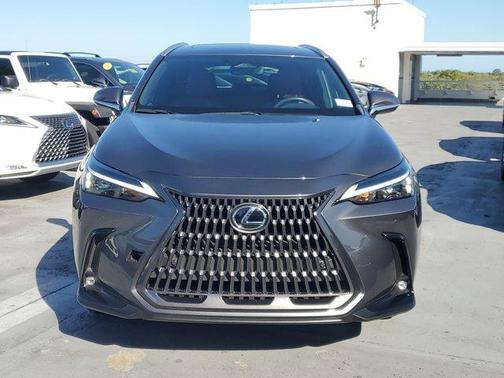 2024 Lexus NX 250 Premium