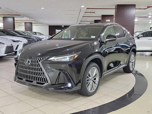 2025 Lexus NX 350 Premium