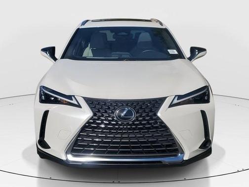 2025 Lexus UX 300h UX 300H F DESIGN