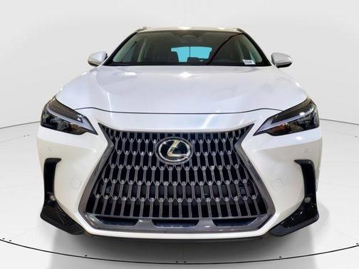 2025 Lexus NX 250 Base