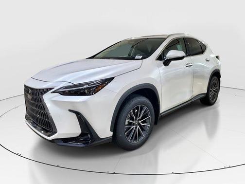 2025 Lexus NX 250 Base