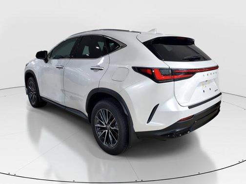 2025 Lexus NX 250 Base