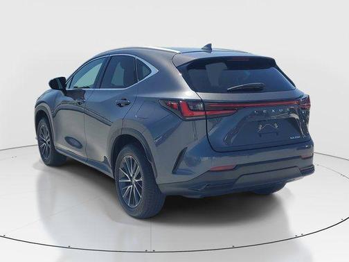 Gray 2025 Lexus NX 250 Premium