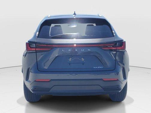 Gray 2025 Lexus NX 250 Premium