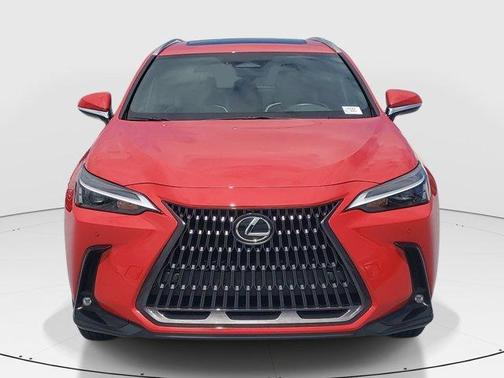 Red Line 2023 Lexus NX 350 Premium