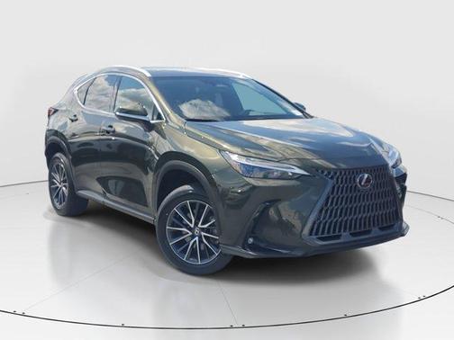 2024 Lexus NX 250 Premium