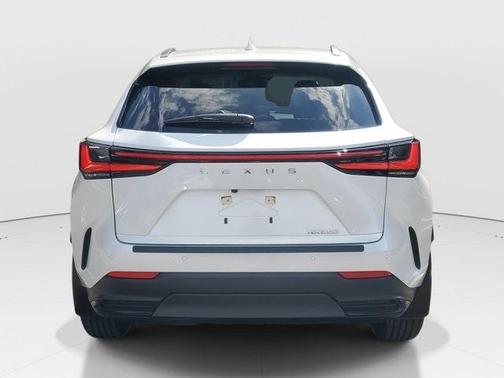 2025 Lexus NX 250 Base