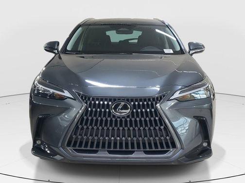 2025 Lexus NX 250 Base