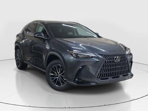 2025 Lexus NX 250 Base