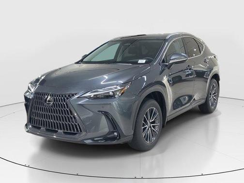 2025 Lexus NX 250 Base