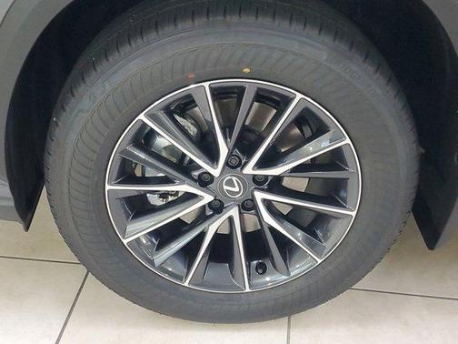 2025 Lexus NX 250 Base