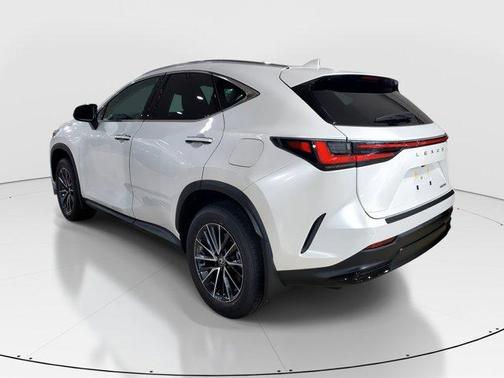 2025 Lexus NX 250 Base