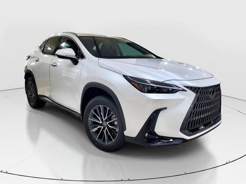 2025 Lexus NX 250 Base