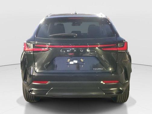 2025 Lexus NX 250 Premium