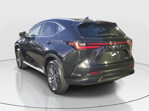 2025 Lexus NX 250 Premium