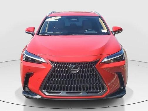 2025 Lexus NX 250 Base
