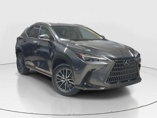 2024 Lexus NX 250 Premium