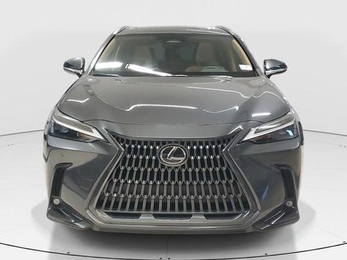 2024 Lexus NX 250 Premium