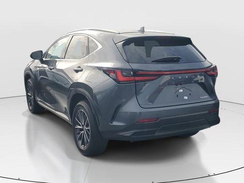 2025 Lexus NX 250 Base