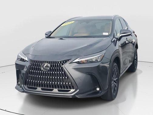 2025 Lexus NX 250 Base