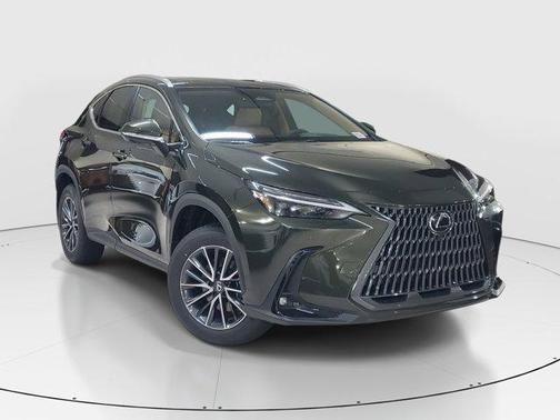 2025 Lexus NX 350 Luxury