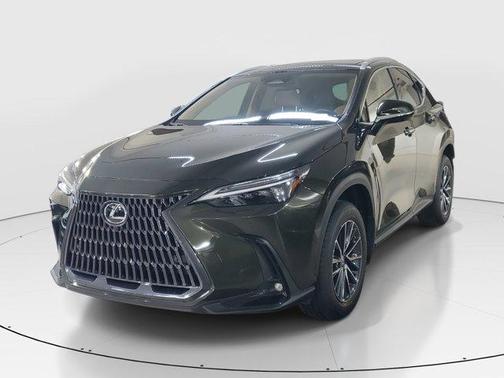 2025 Lexus NX 350 Luxury