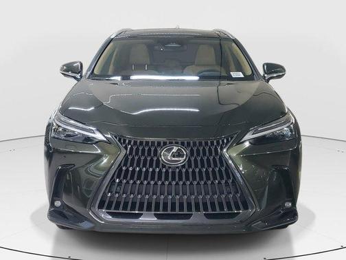 2025 Lexus NX 350 Luxury