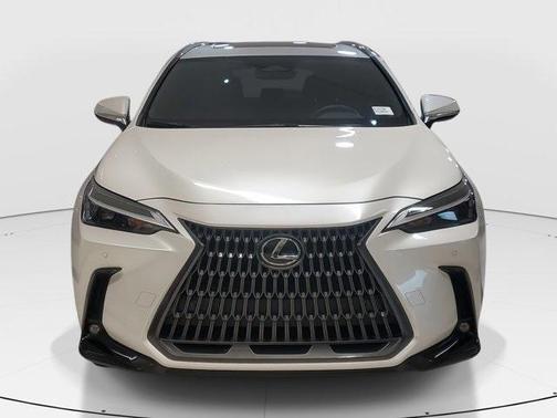 2024 Lexus NX 250 Premium