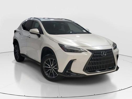2024 Lexus NX 250 Premium