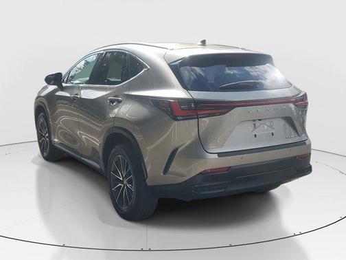 2024 Lexus NX 250 Premium