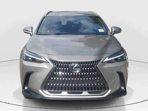 2024 Lexus NX 250 Premium