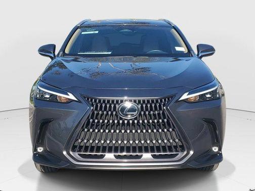 Gray 2024 Lexus NX 250 Base