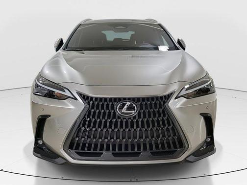 2025 Lexus NX 350h Base