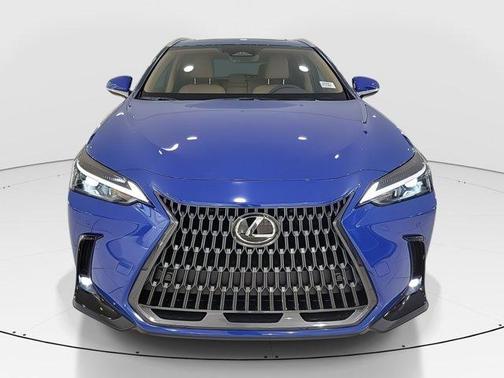 2025 Lexus NX 250 Premium