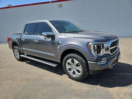 Gray Metallic 2021 Ford F-150 Platinum