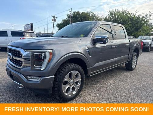 Gray Metallic 2021 Ford F-150 Platinum