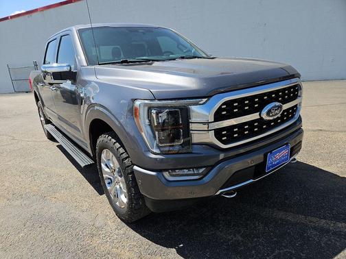 Gray Metallic 2021 Ford F-150 Platinum