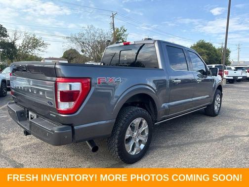 Gray Metallic 2021 Ford F-150 Platinum