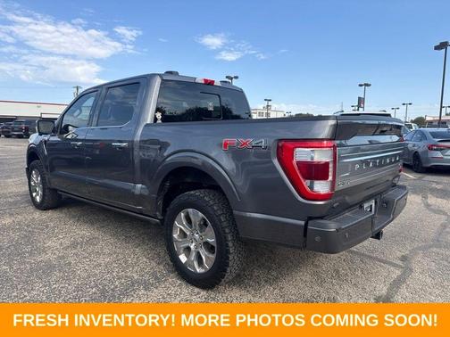 Gray Metallic 2021 Ford F-150 Platinum