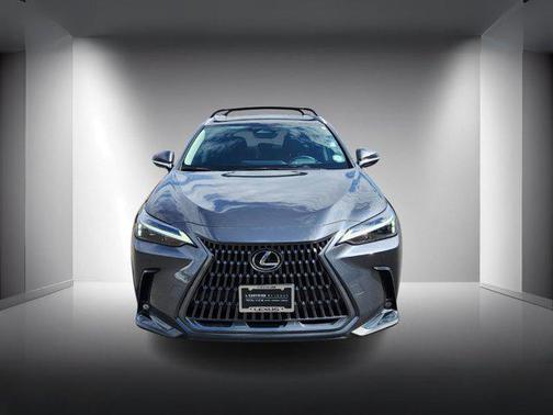 2025 Lexus NX 350h Premium