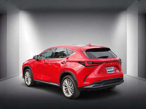 Redline 2024 Lexus NX 350 Luxury
